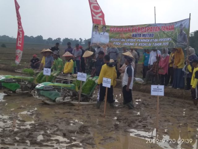 Walikota Hadiri pelaksanaan percepatan tanaman padi