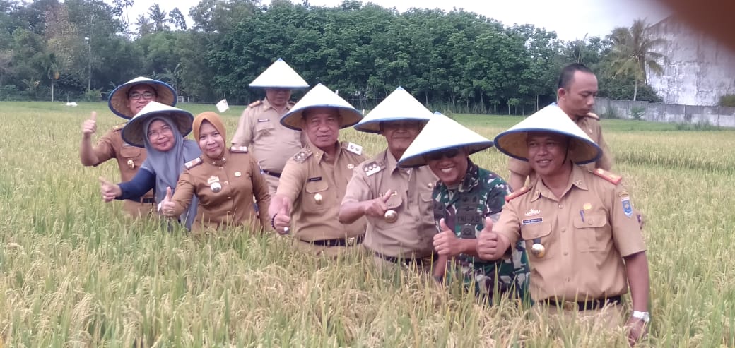 Walikota dan wakil walikota metro hadiri panen raya