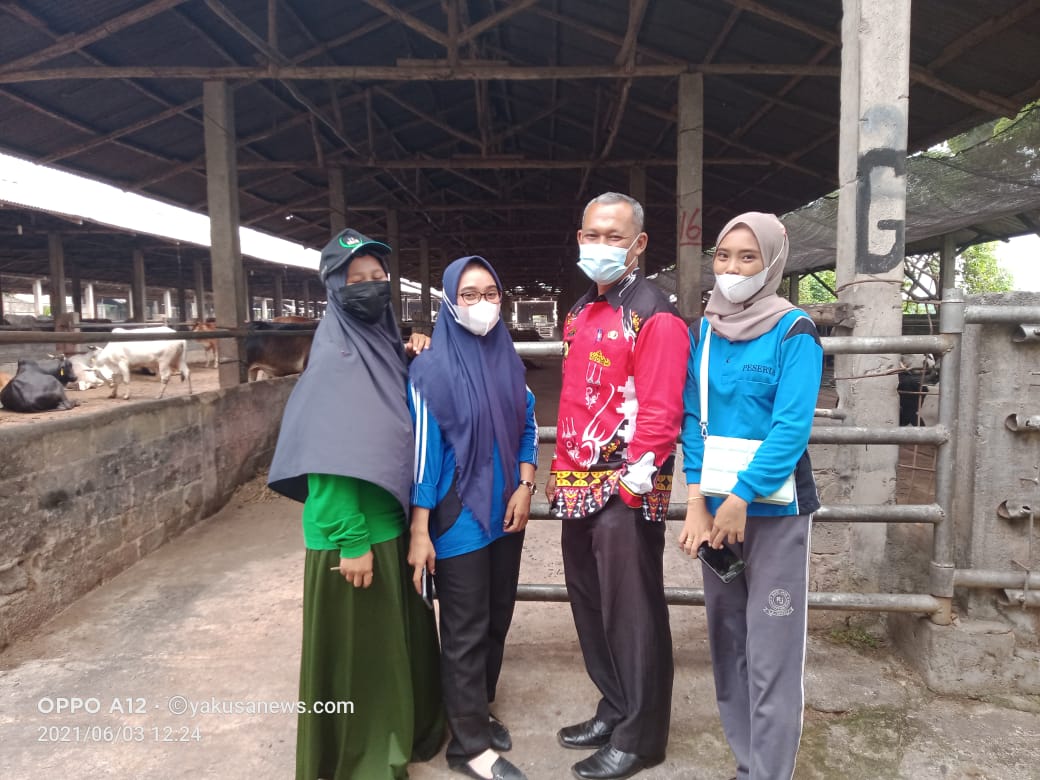Dinas KP3 Kota Metro Pastikan Stok Hewan Kurban Cukup