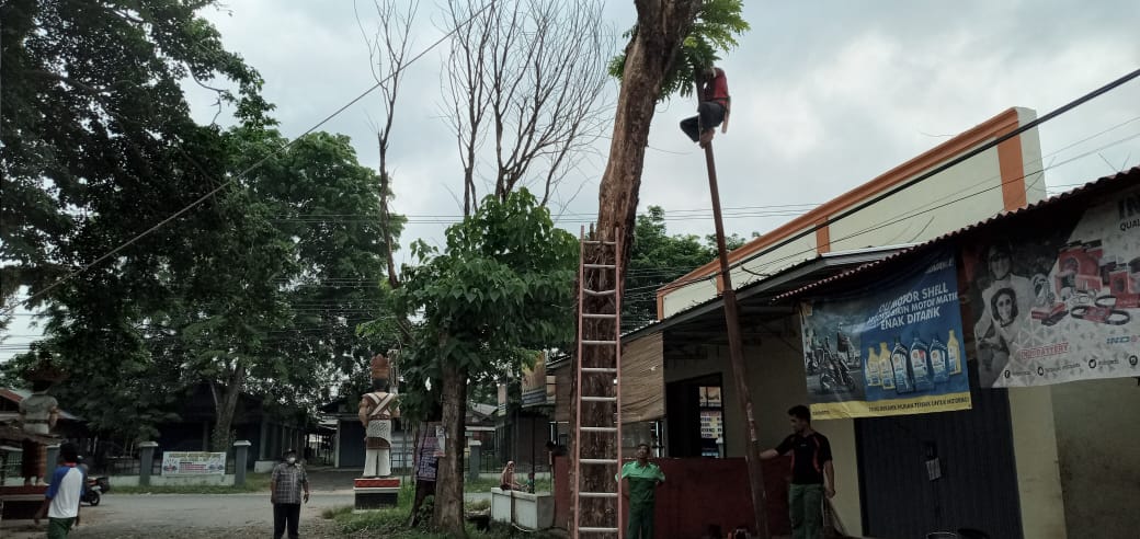 Dinas Perkim Metro Minta Tambahan Mobil Crane