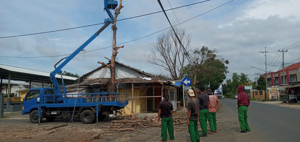 Pasca Diberitakan, Pohon Kering di Pasar Tejoagung Akhirnya Dipangkas