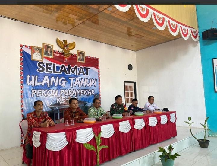 APBP Pekon Pura Mekar Disahkan
